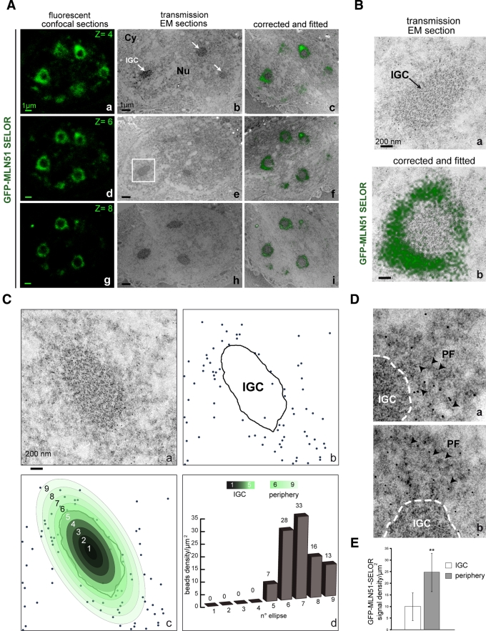 FIGURE 6: