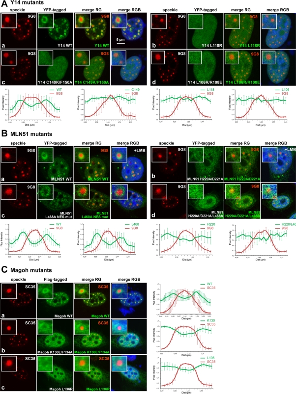 FIGURE 4: