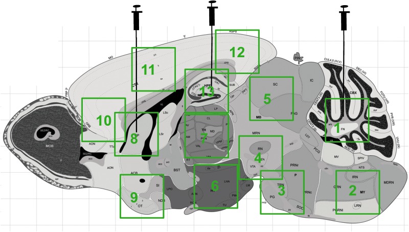 FIG. 1.