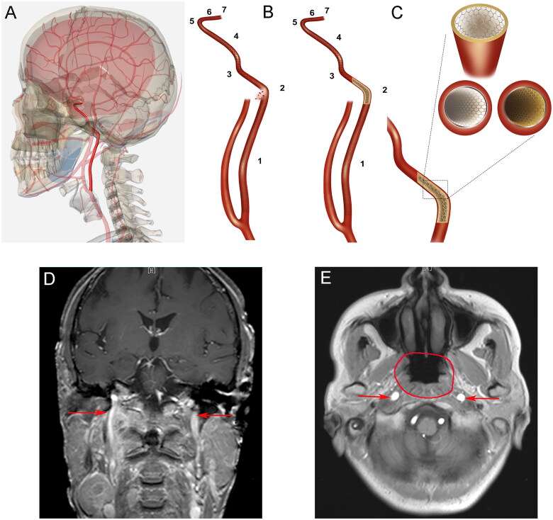 Figure 1.