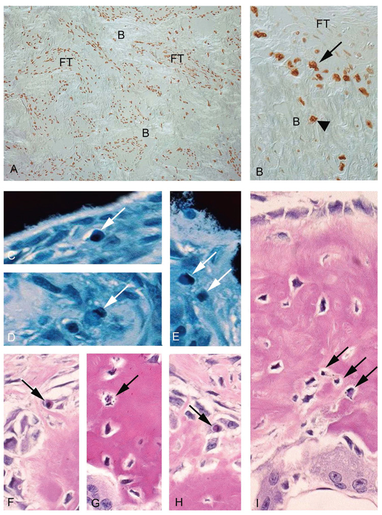 FIG. 6