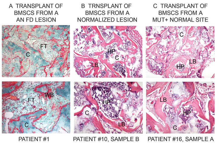 FIG. 7