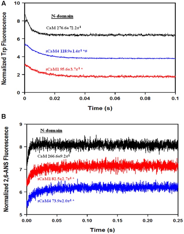 FIGURE 4