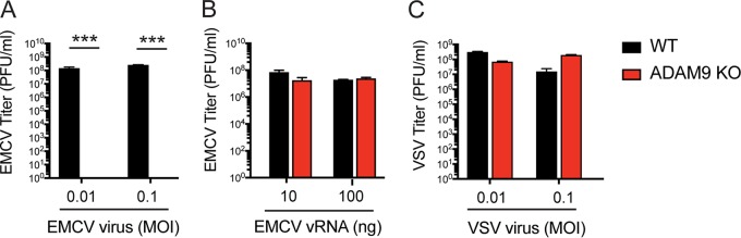 FIG 4