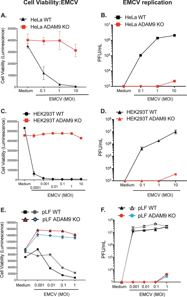 FIG 2