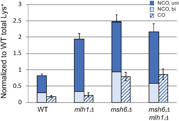 Figure 5.