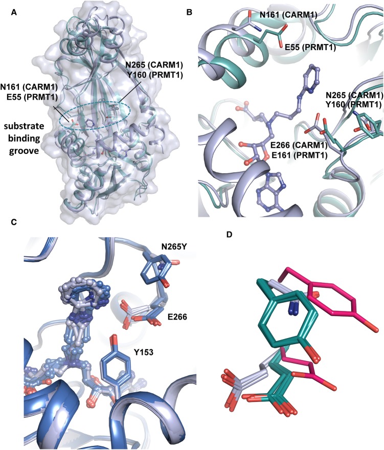 Figure 4.