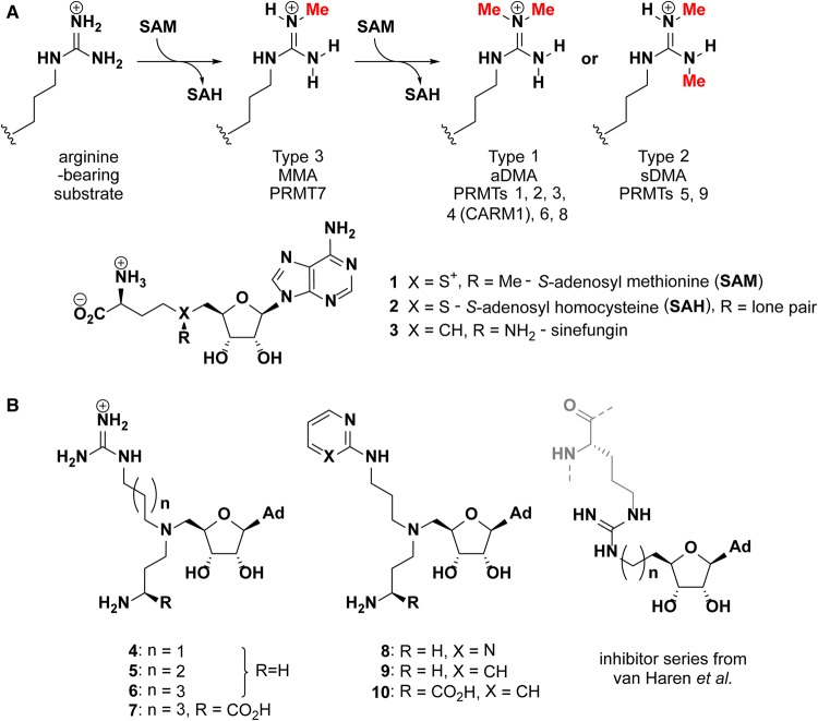 Figure 1.