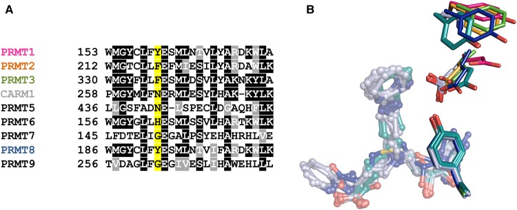 Figure 5.