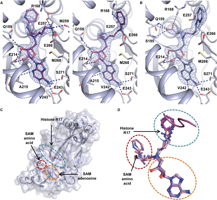 Figure 3.