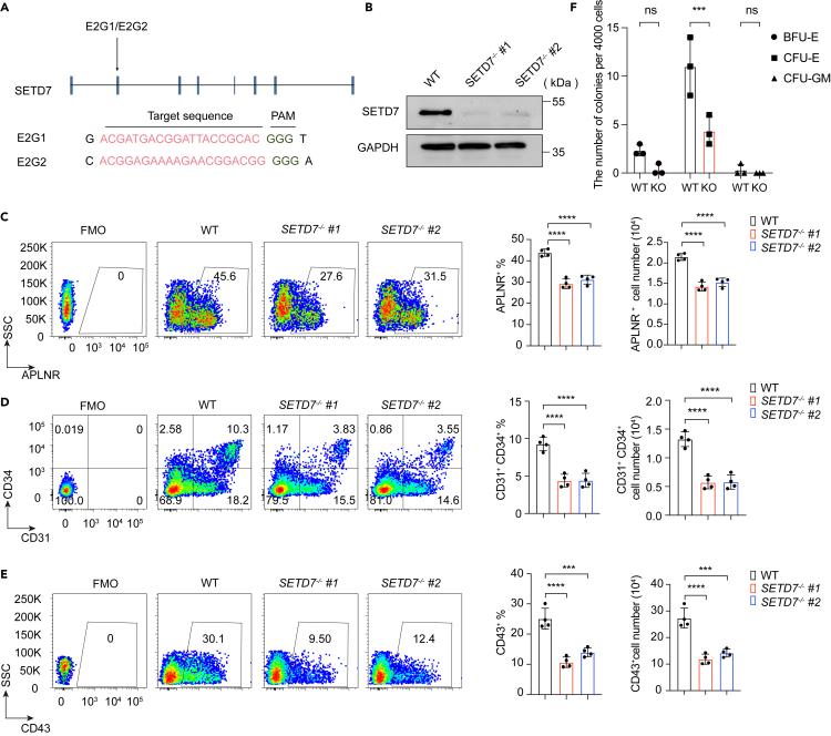 Figure 2