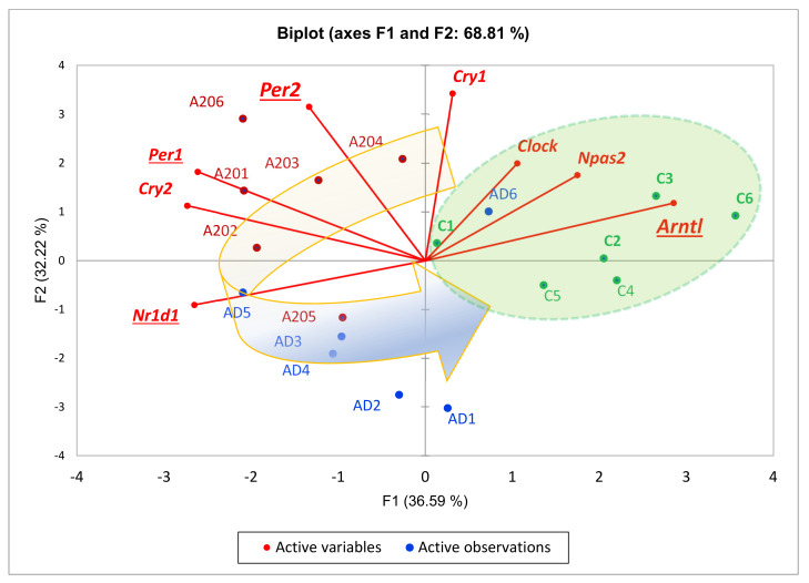 Figure 6