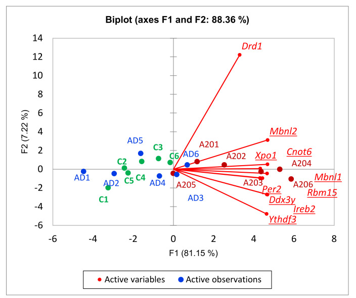 Figure 12