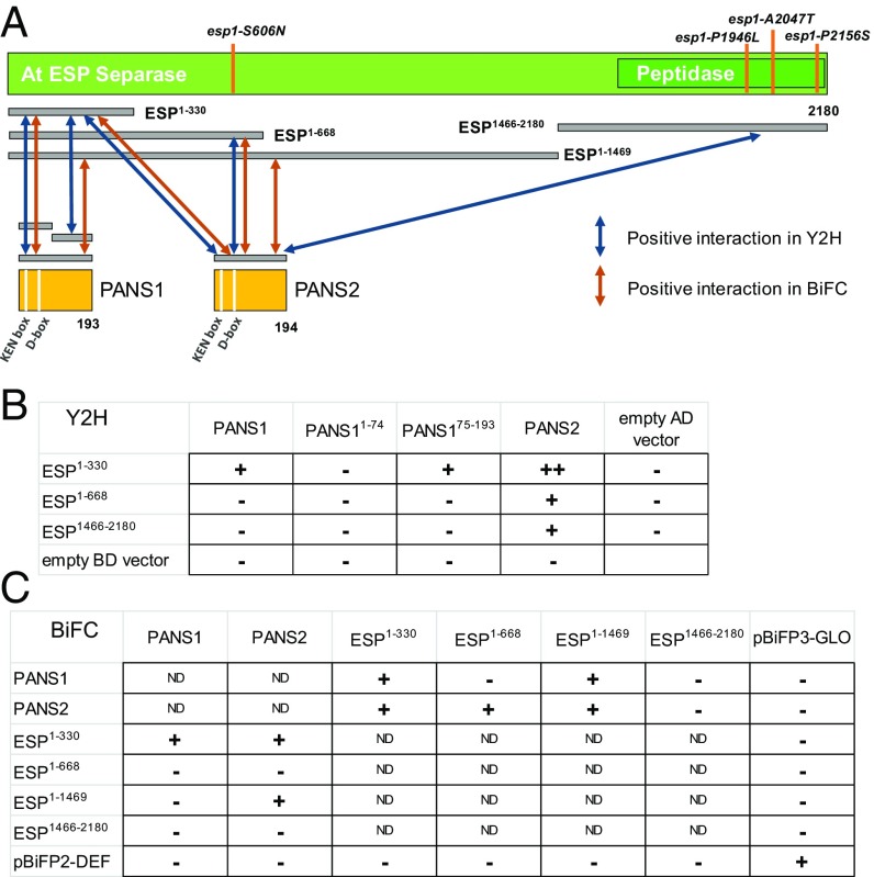 Fig. 8.