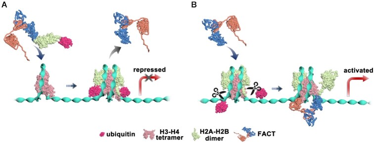 Figure 5.