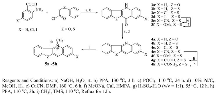 Scheme 2