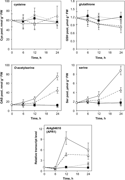 Figure 7.