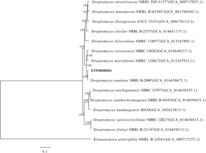 FIGURE 3