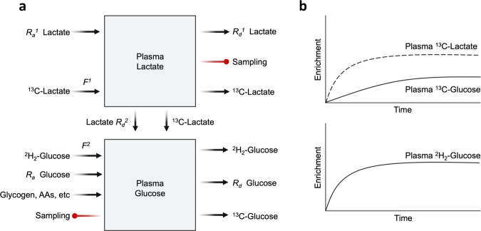 Fig. 8