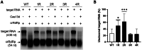 Figure 3