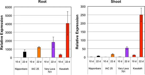 Fig. 1