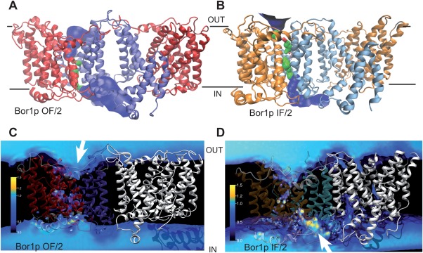 Figure 6