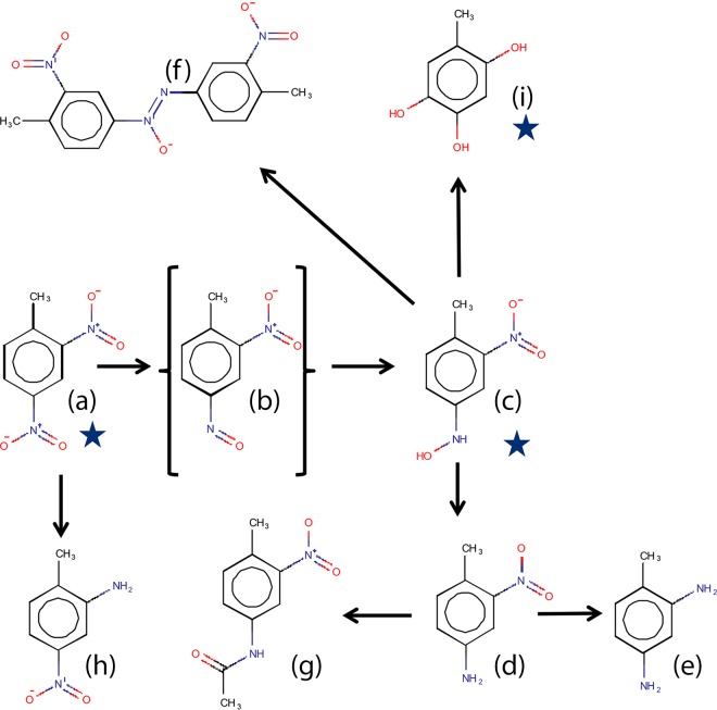 FIG 6