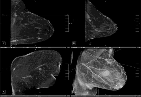 Fig. 5