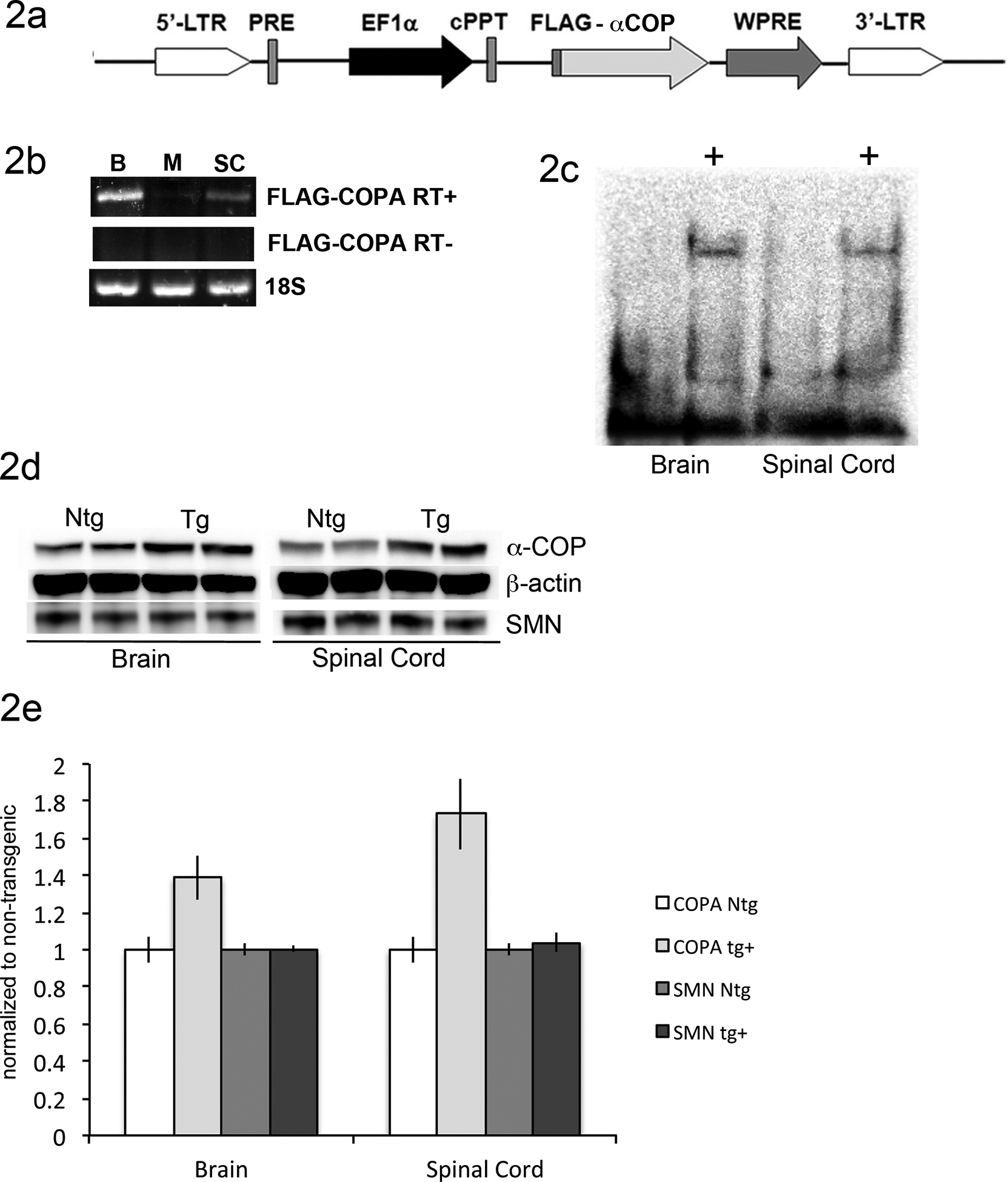 Figure 2: