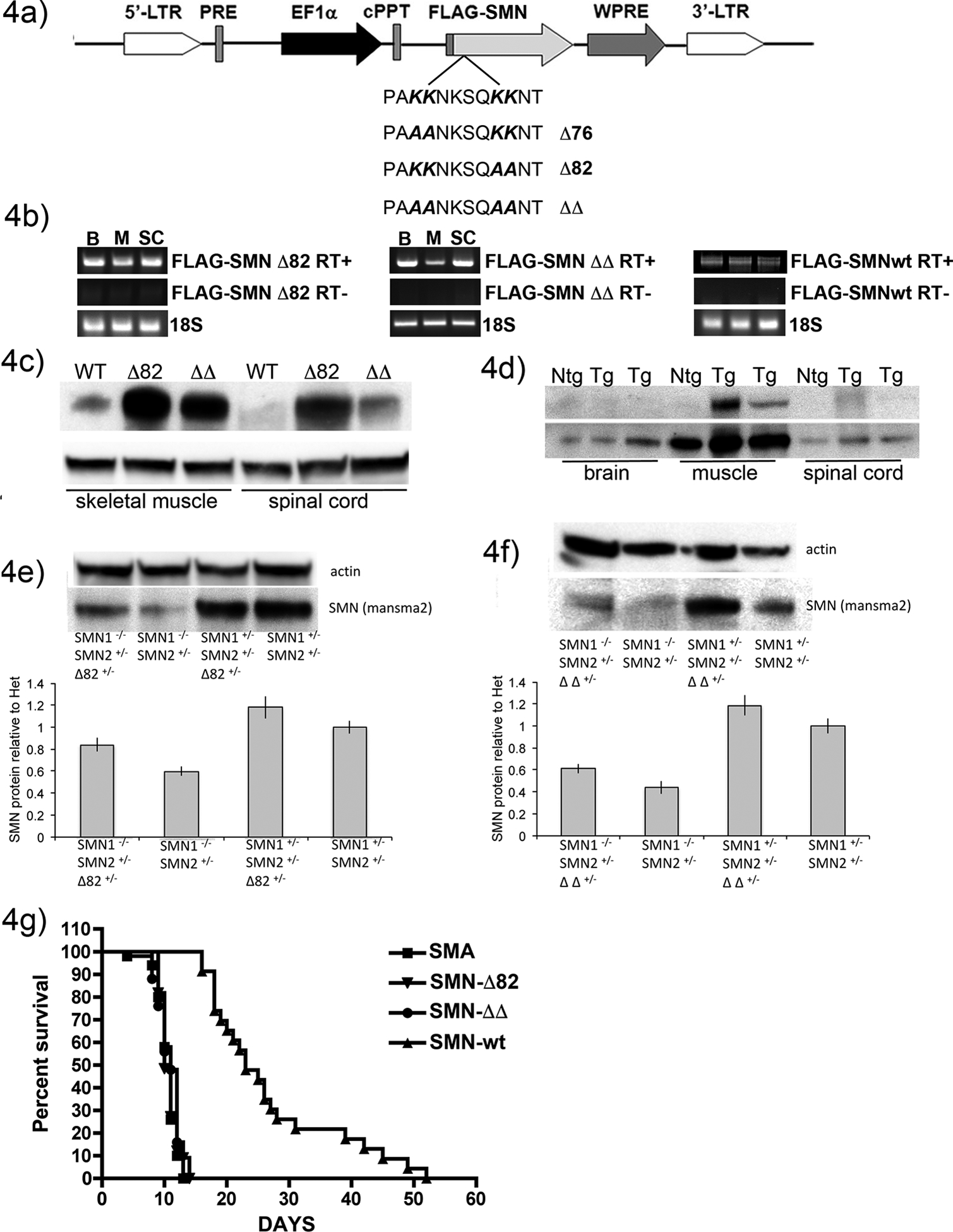 Figure 4: