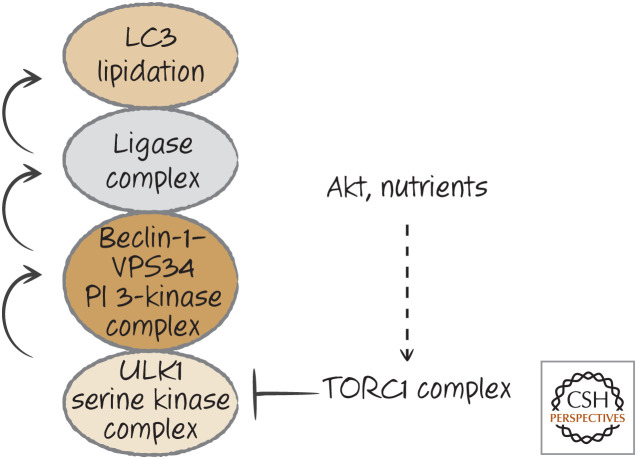 Figure 18.