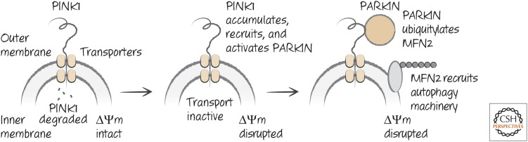 Figure 20.