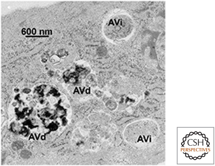 Figure 14.