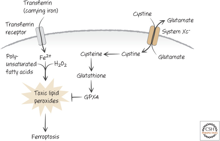 Figure 13.