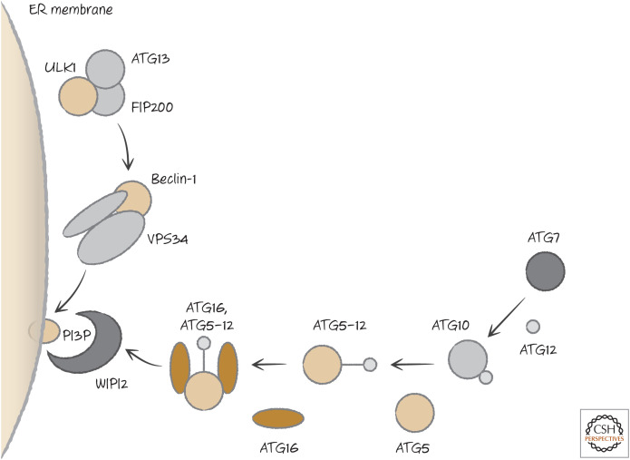 Figure 16.