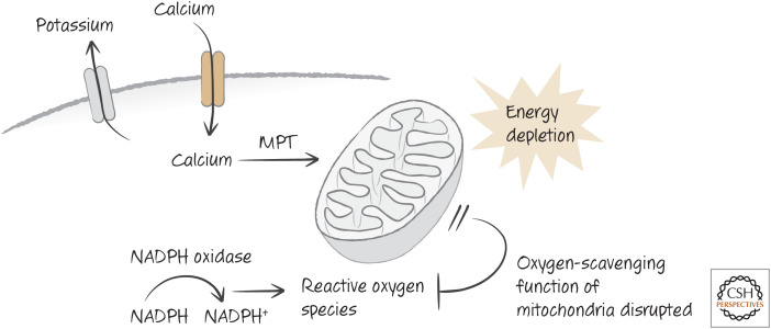 Figure 12.