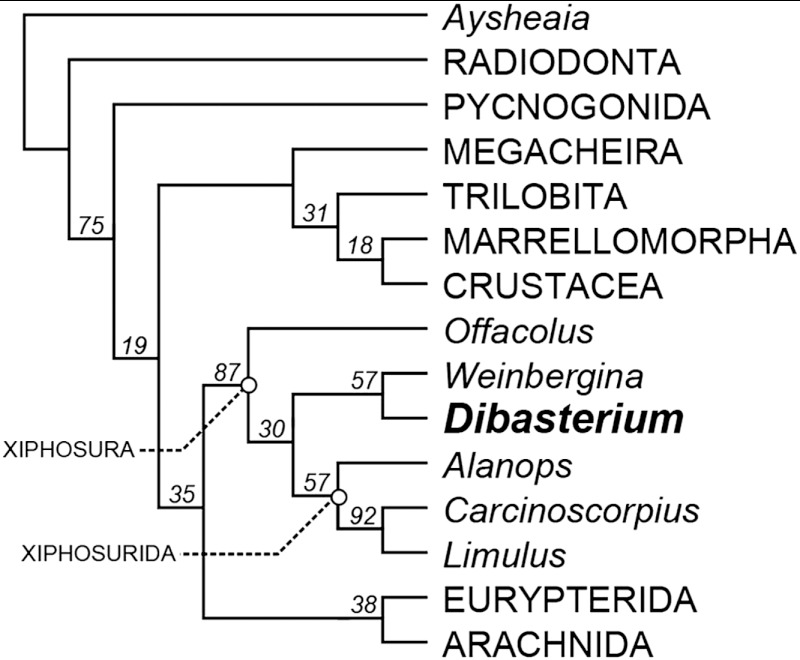 Fig. 2.