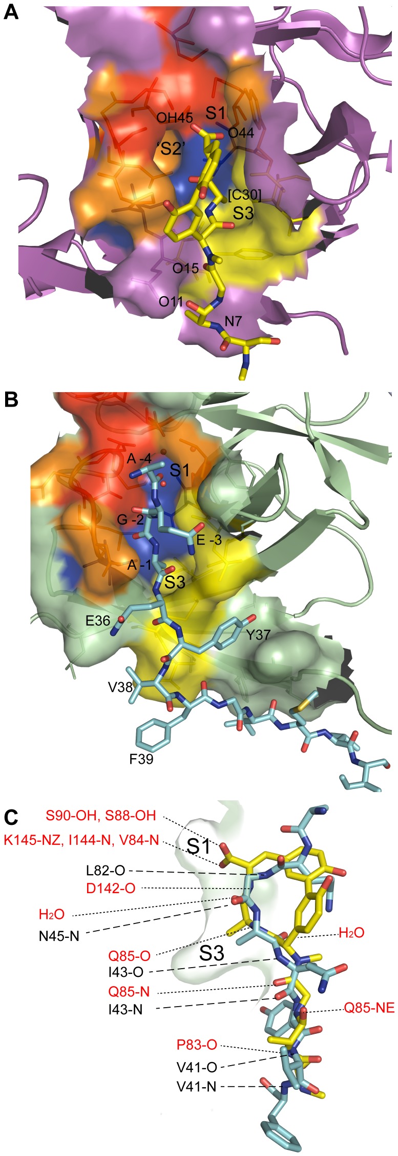 Figure 5