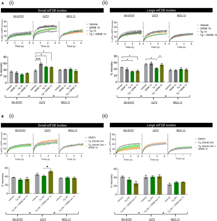 Figure 6