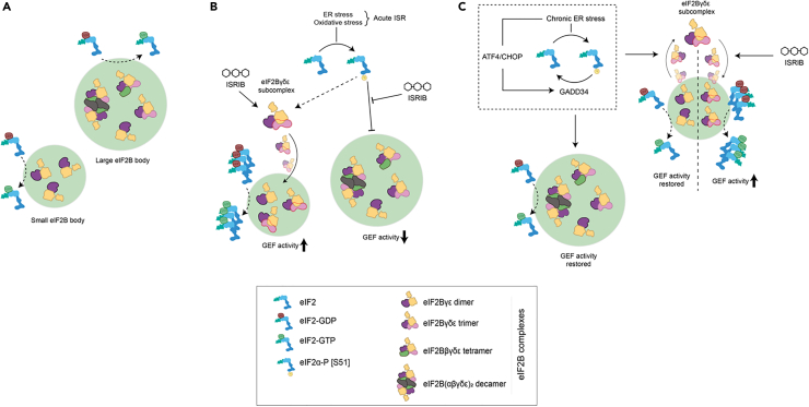 Figure 7