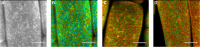 Fig 4
