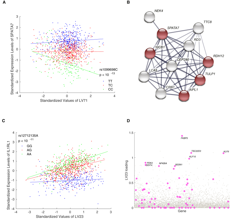 Figure 4