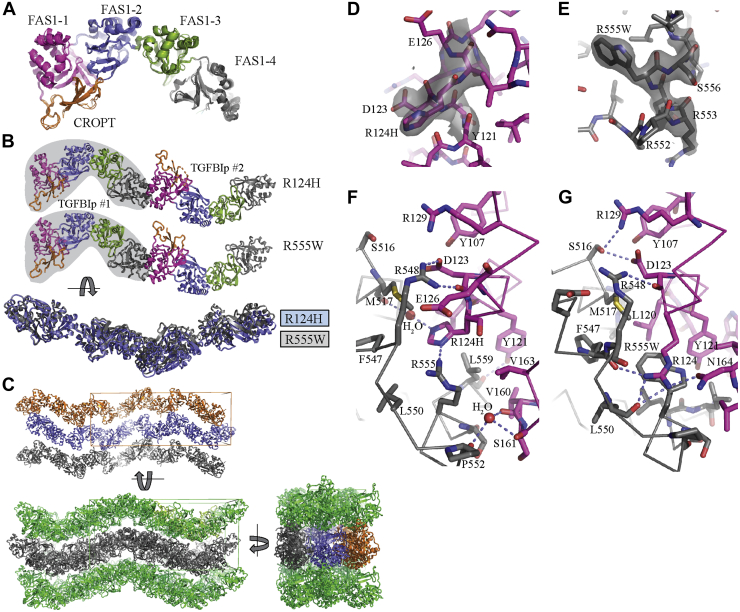 Figure 2