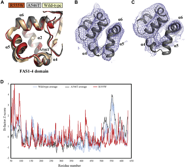 Figure 3