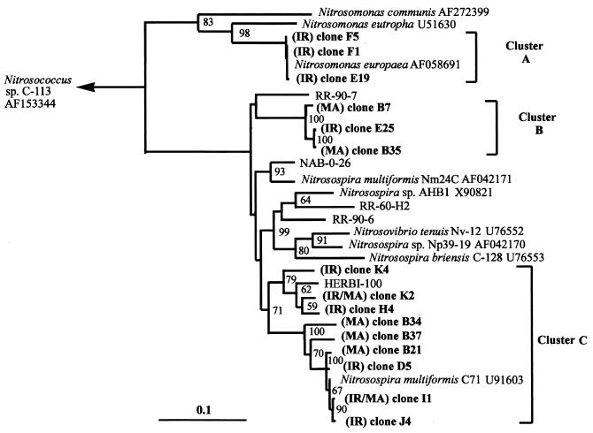 FIG. 2.