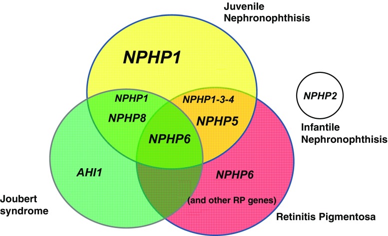 Fig. 4