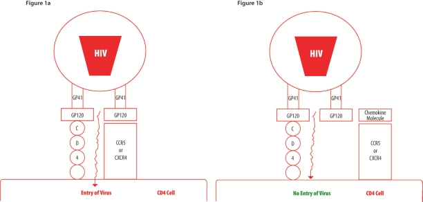 Figures 1a & 1b: