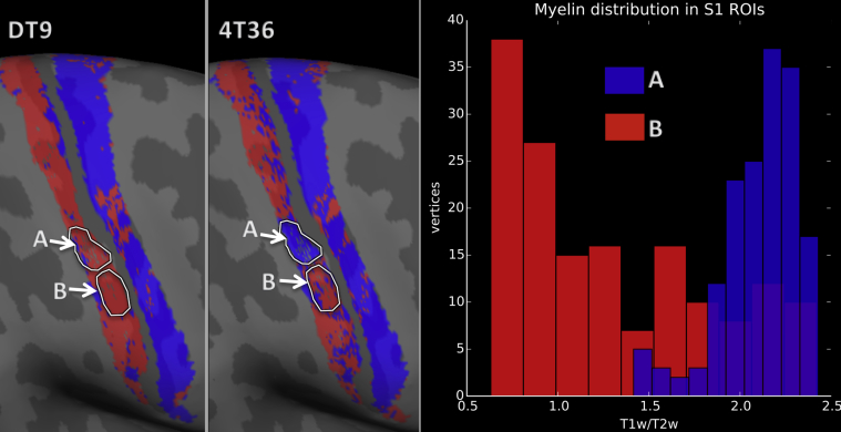 Fig. 9