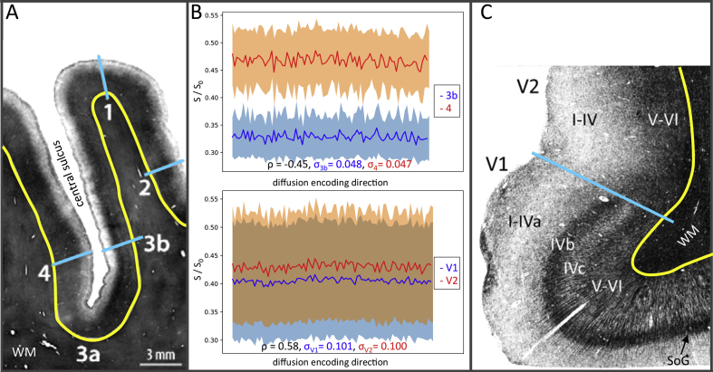 Fig. 7