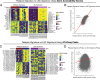 Figure 3—figure supplement 1.